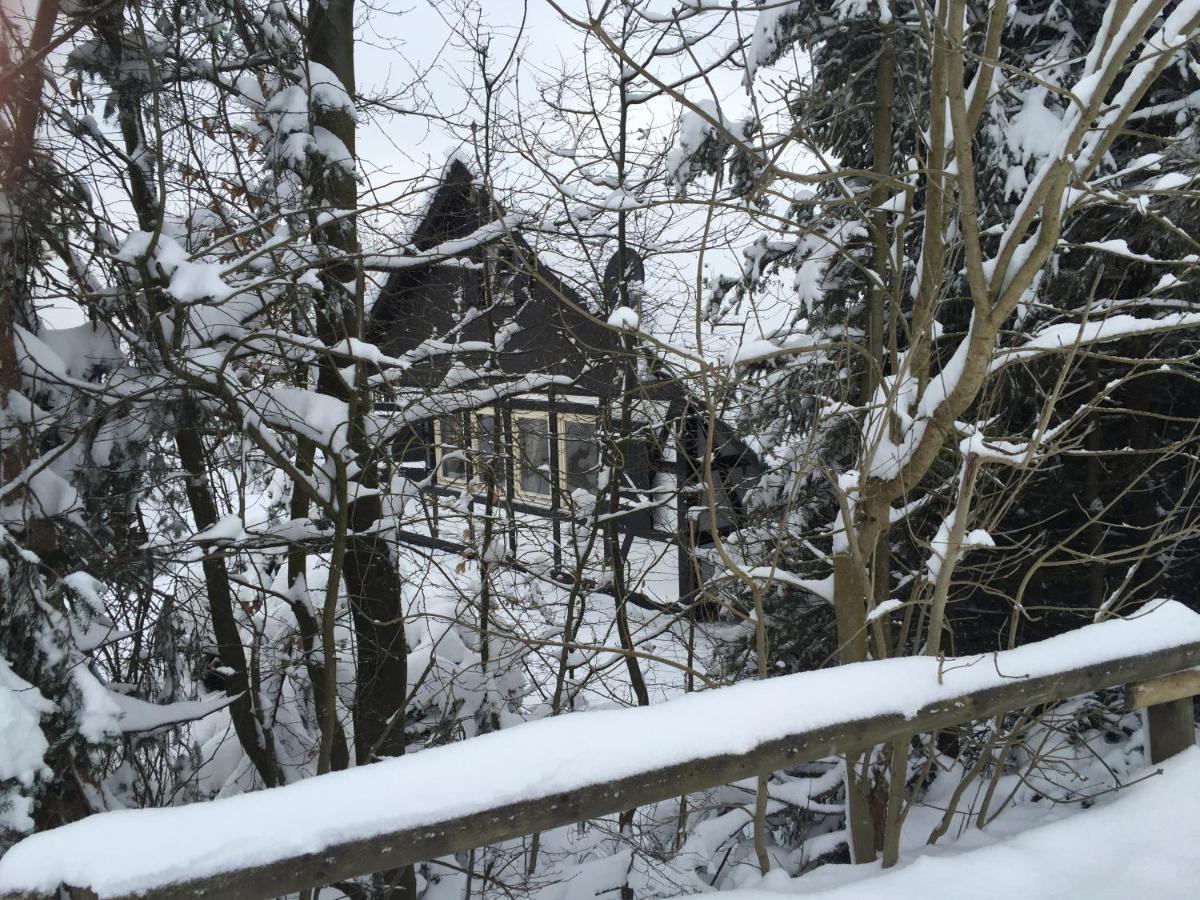 Ferienhaus Sauerlandtraum Winterberg Eksteriør billede
