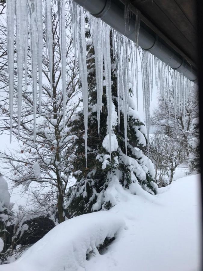 Ferienhaus Sauerlandtraum Winterberg Eksteriør billede